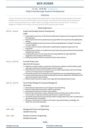 Project Lead (Strategic Business Development) Resume Sample and Template