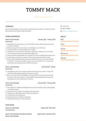 Senior Java Developer Resume Sample and Template