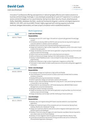 Java Developer CV Example and Template