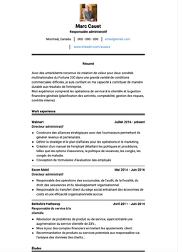 Exemple et modèle de CV Directeur administratif 