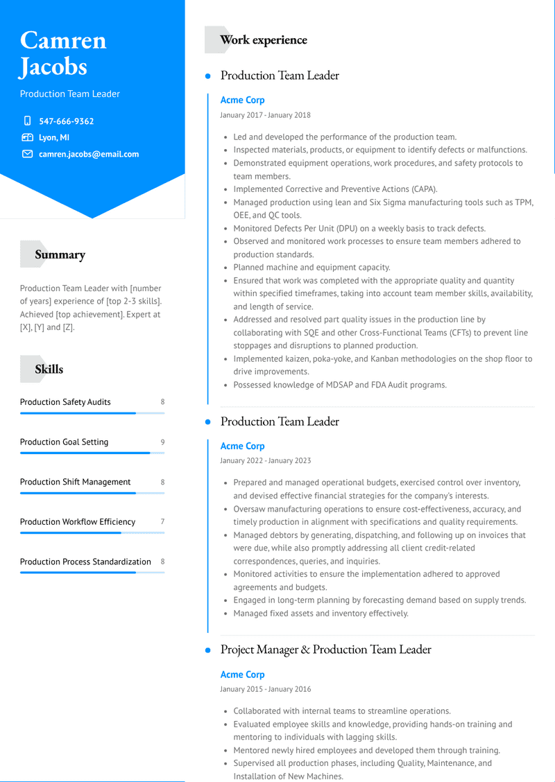 Production Team Leader Resume Sample and Template