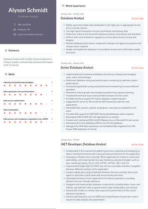 Database Analyst Resume Sample and Template