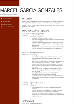 Analista y programador Resume Sample and Template