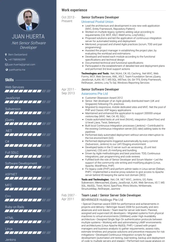 professional summary resume examples for software developer