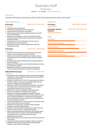 Bi Developer Resume Sample and Template