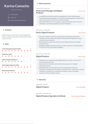 Digital Producer Resume Sample and Template
