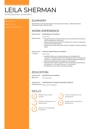 Small Business Consultant Resume Sample and Template