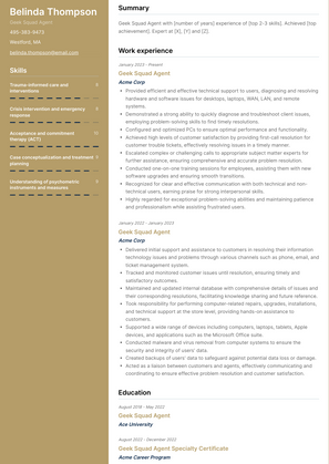 Geek Squad Agent Resume Sample and Template