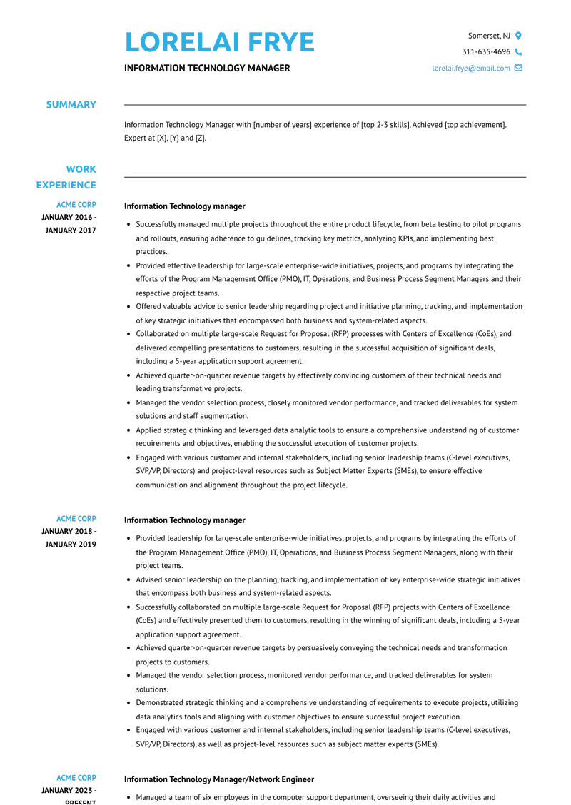 Information Technology Manager Resume Sample and Template