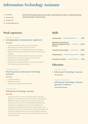 Information Technology Assistant Resume Sample and Template
