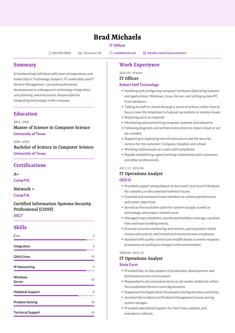 Professional CV Samples: It officer