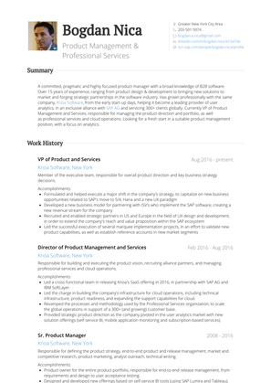 Director Of Product Management And Services Resume Sample and Template