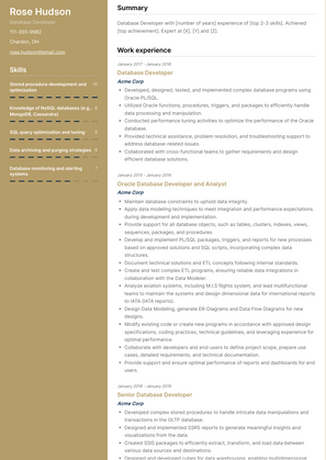 Database Developer Resume Sample and Template