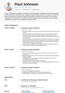 Elegant Resume Template and Example - Air by VisualCV