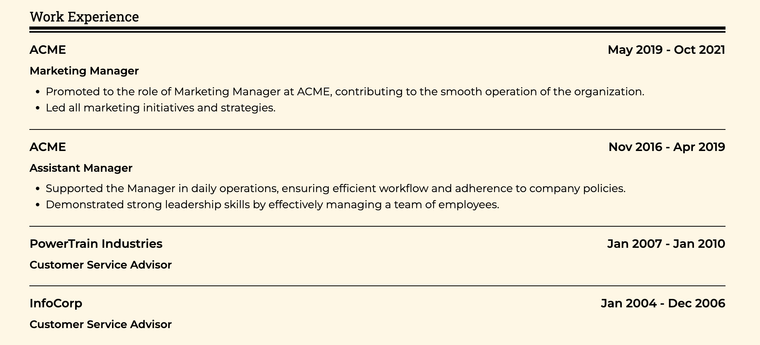 Hybrid Resume Example: Work Experience