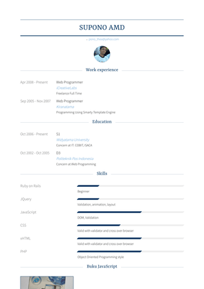 Web Programmer Resume Sample and Template