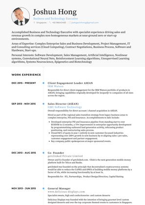 Sales Director (Asean) Resume Sample and Template