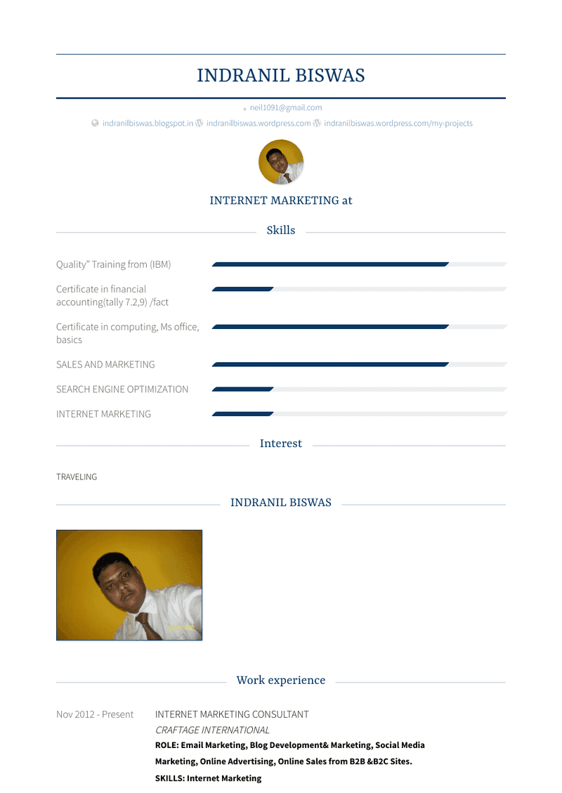 Internet Marketing Consultant Resume Sample and Template