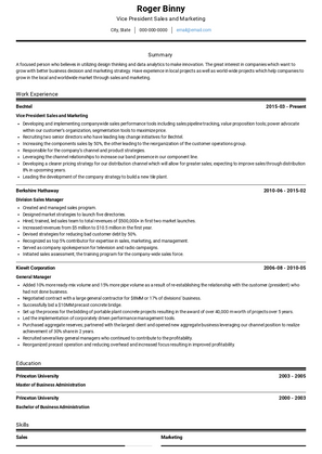 Vice President Sales and Marketing Resume Sample and Template