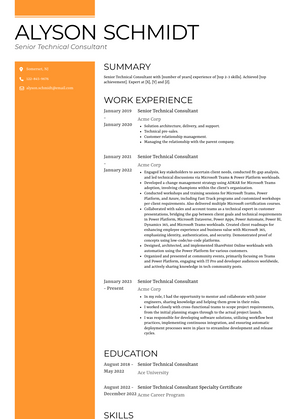 Senior Technical Consultant Resume Sample and Template
