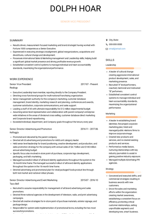 Senior Vice President Resume Sample and Template