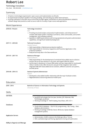 Technology Consultant Resume Sample and Template