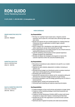 Senior Marketing Executive Resume Sample and Template