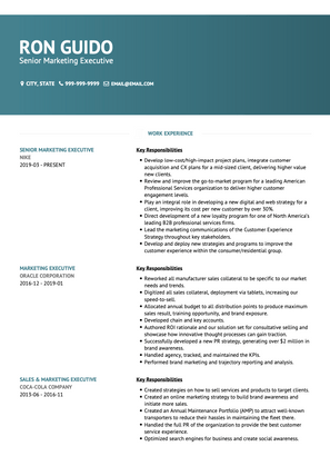 Senior Marketing Executive CV Example and Template