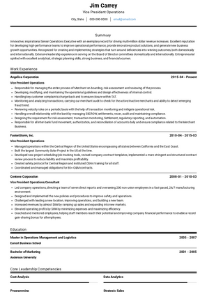 Vice President Operations Resume Sample and Template