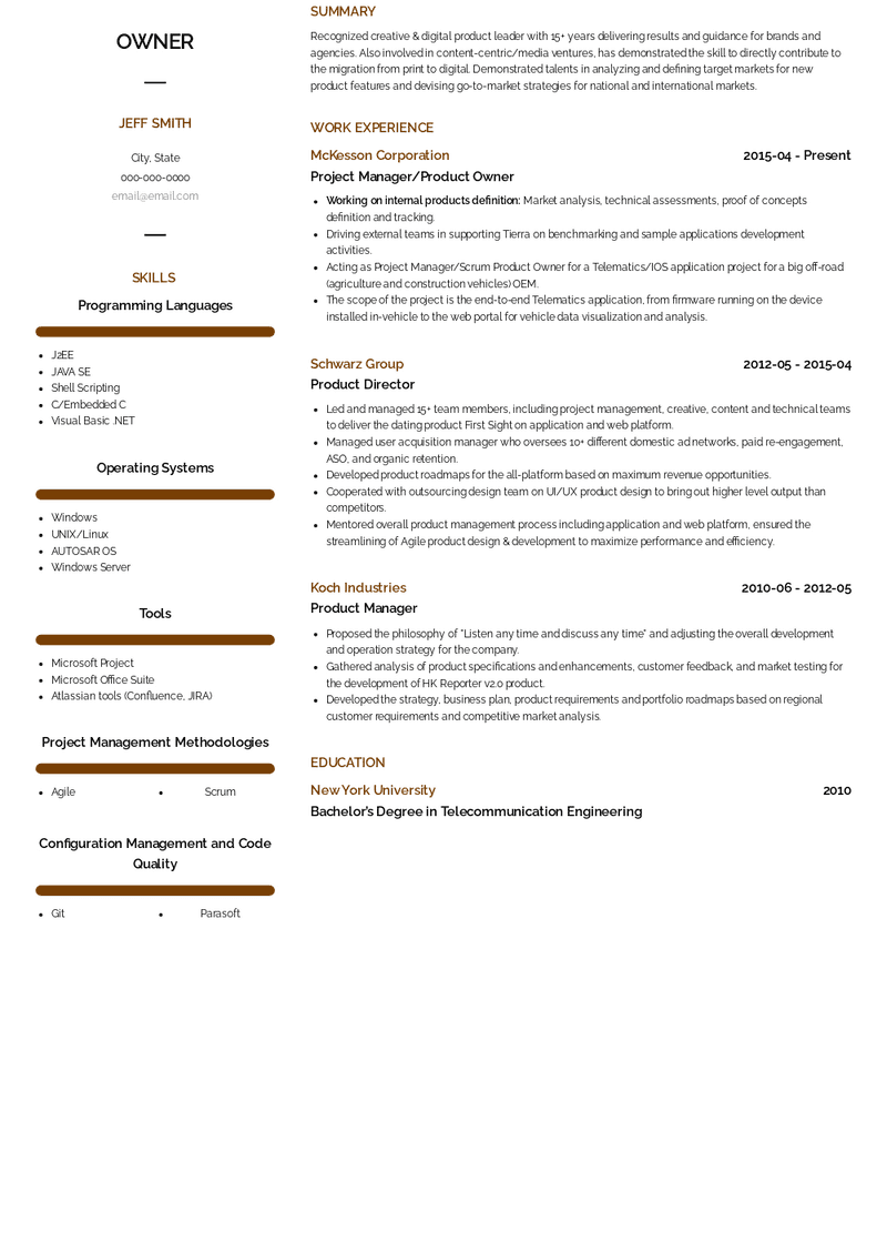 Owner Resume Sample and Template