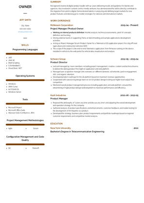 Owner Resume Sample and Template