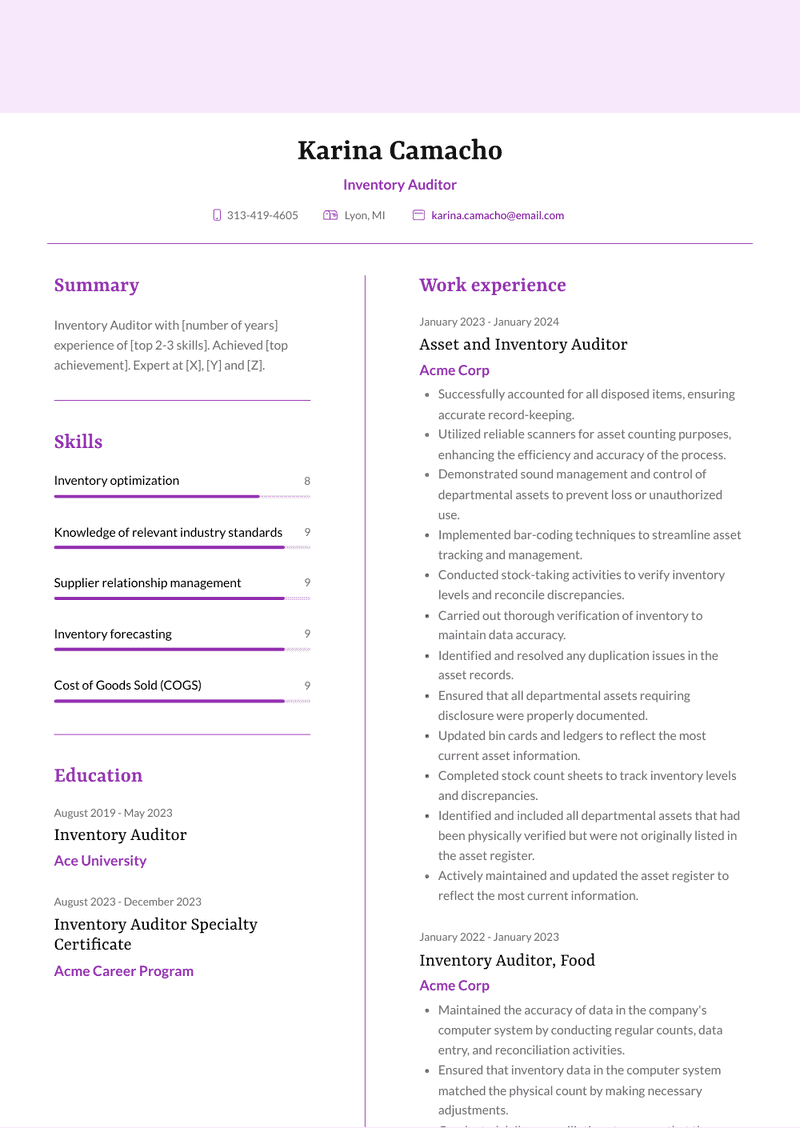 Inventory Auditor Resume Sample and Template