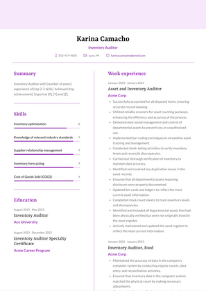Inventory Auditor Resume Sample and Template