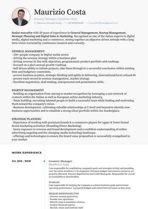 Co Founder, Vp Sales & Marketing Resume Sample and Template