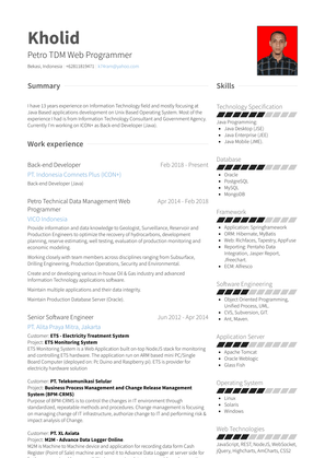 Petro Technical Data Management Web Programmer Resume Sample and Template