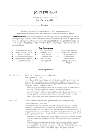 Chief Executive Officer Resume Sample and Template