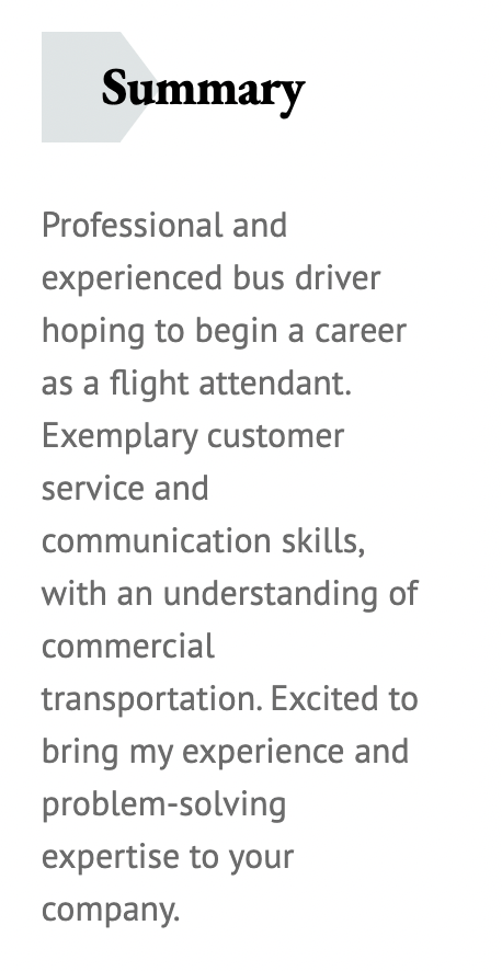 Flight attendant no experience resume summary example three