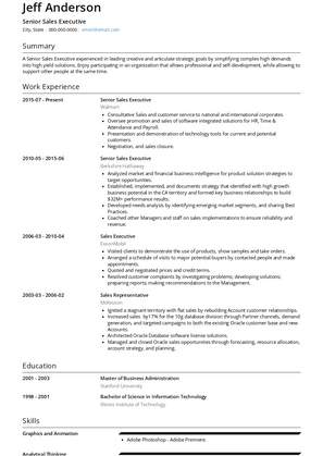 Senior Sales Executive Resume Sample and Template