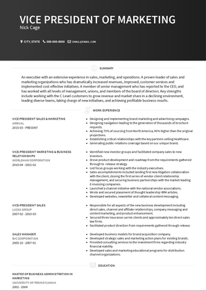 Vice President Sales and Marketing Resume Sample and Template