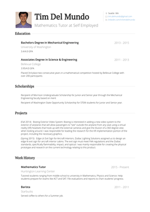 Mathematics Tutor Resume Sample and Template