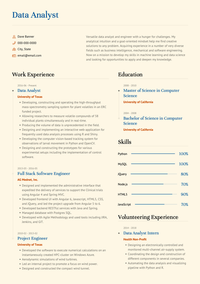 Bravo Resume Template