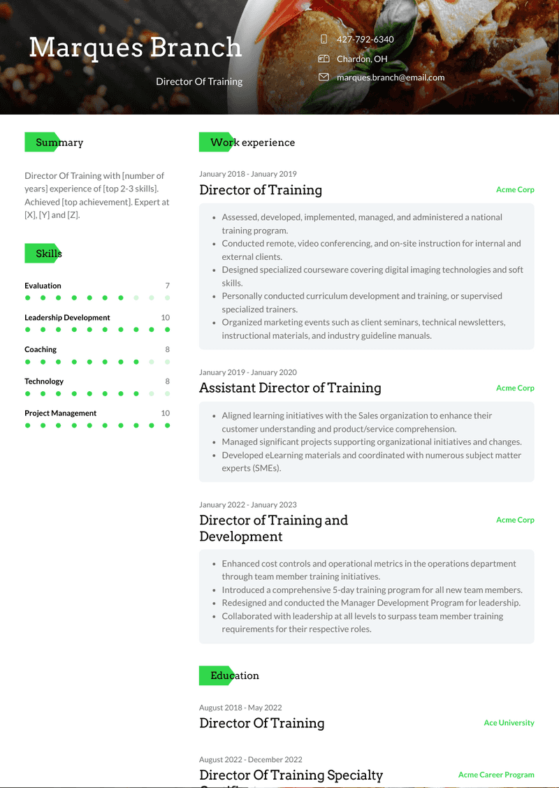 Director Of Training Resume Sample and Template
