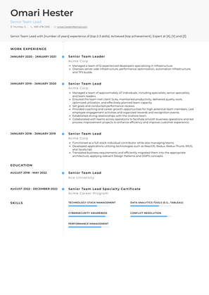 Senior Team Lead Resume Sample and Template