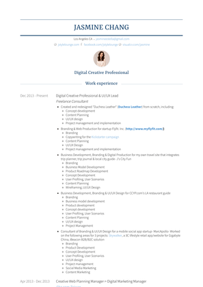 Digital Creative Professional & Ui/Ux Lead Resume Sample and Template