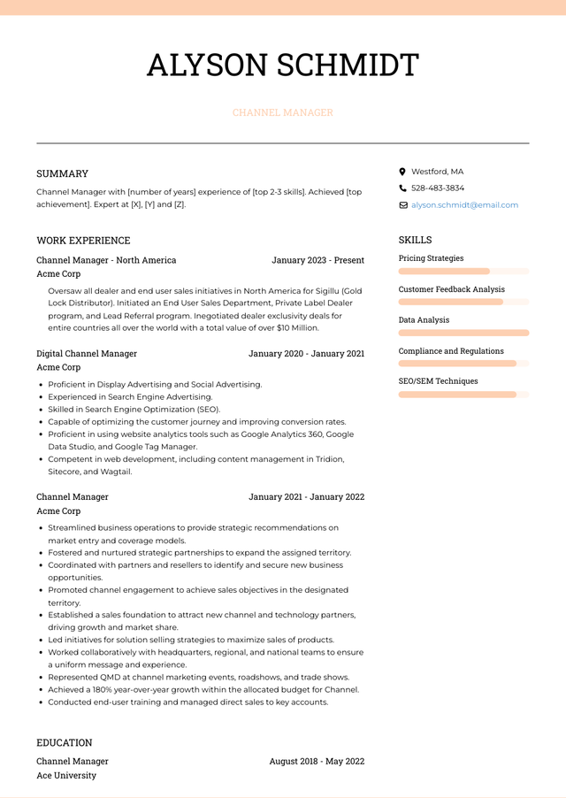Channel Partner Resume Example Channel Manager Resume Examples and Templates