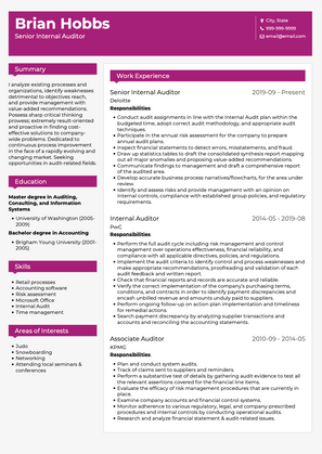 Auditor CV Example and Template