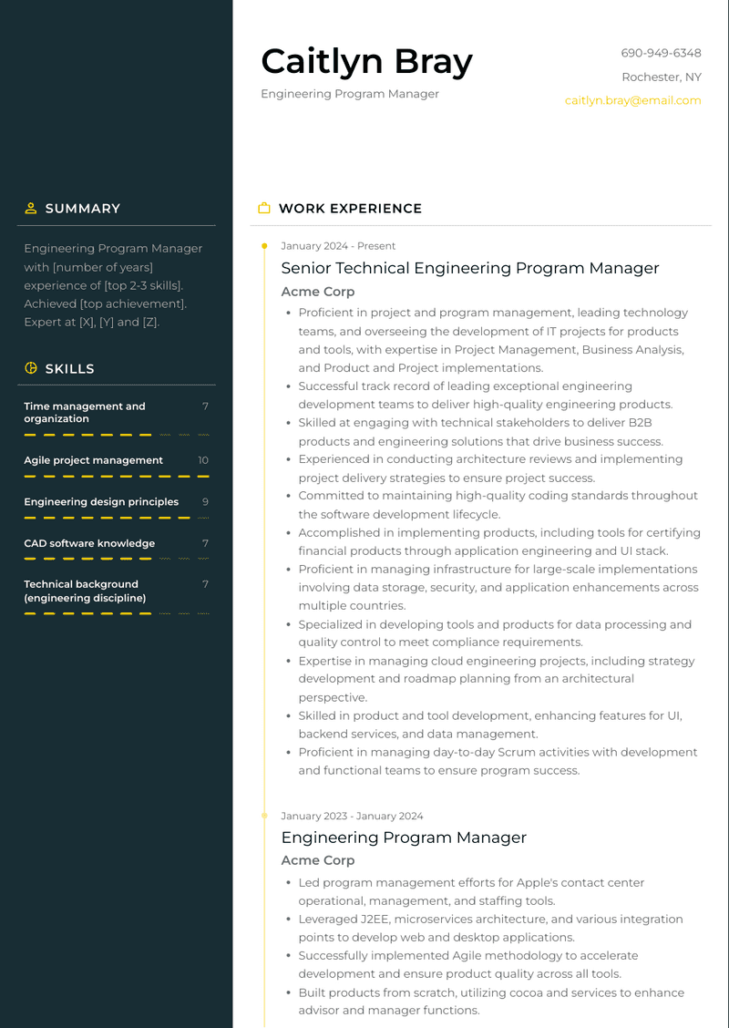 Engineering Program Manager Resume Sample and Template