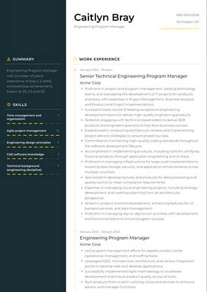 Engineering Program Manager Resume Sample and Template