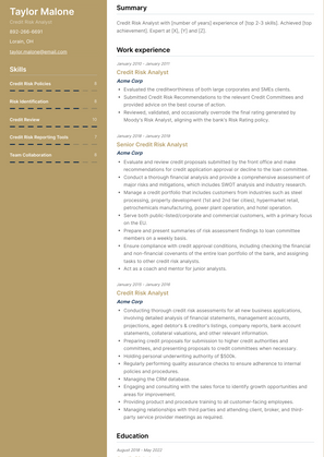 Credit Risk Analyst Resume Sample and Template