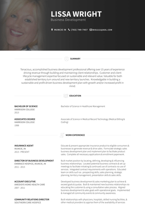 Insurance Agent Resume Sample and Template